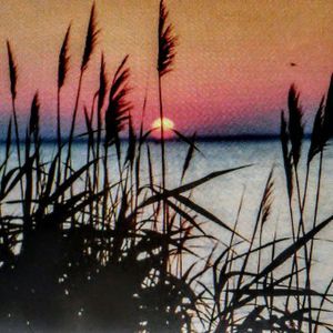 Meet your Posher, Darlene